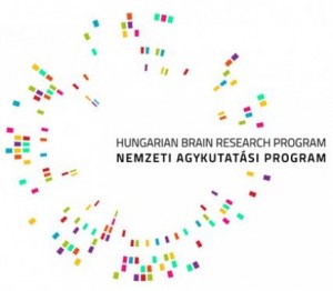 brain-research-program