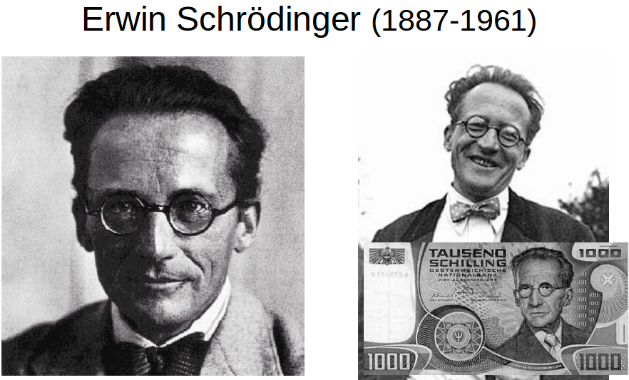 \includegraphics[width=450px]{schrodinger.png}