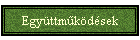 Egyttmkdsek